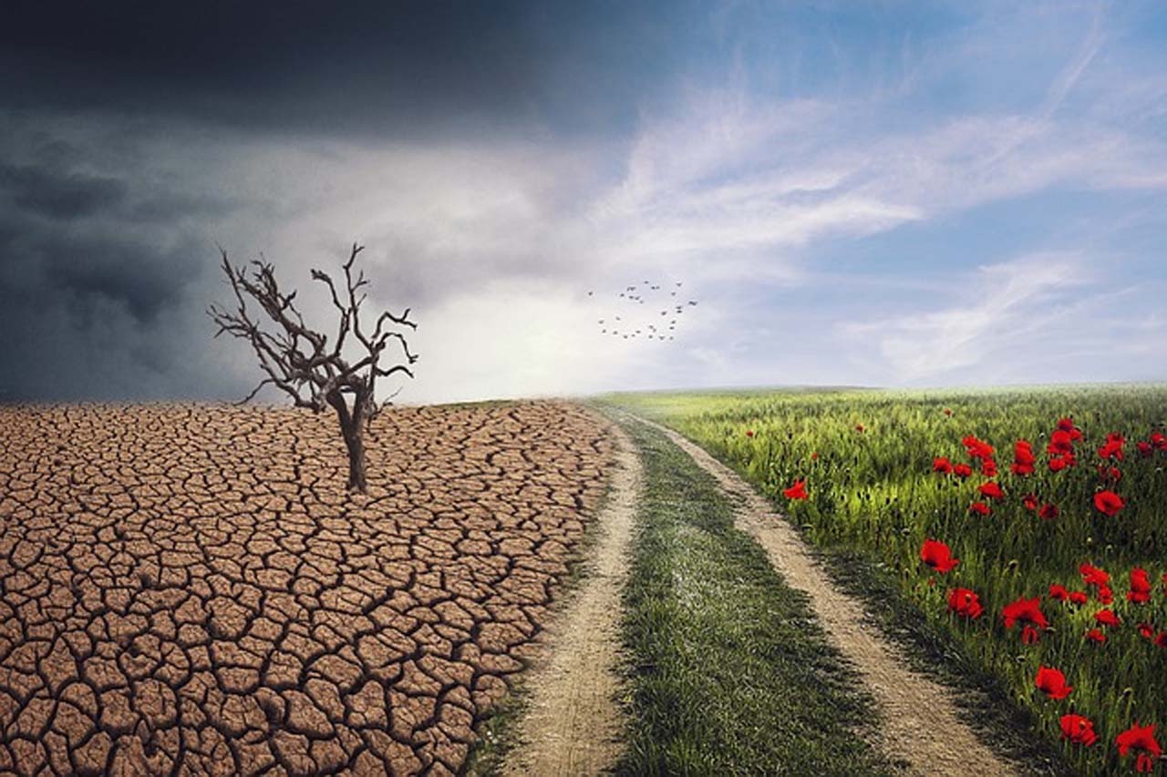 Cambio Climatico innovacion